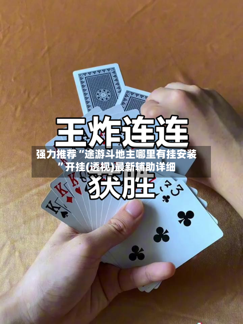 强力推荐“途游斗地主哪里有挂安装	”开挂(透视)最新辅助详细-第2张图片