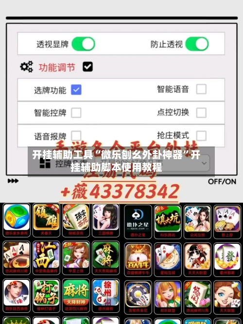 开挂辅助工具“微乐刨幺外卦神器”开挂辅助脚本使用教程-第2张图片