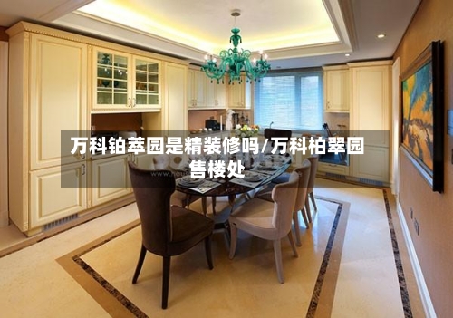 万科铂萃园是精装修吗/万科柏翠园售楼处-第2张图片