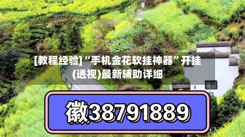 [教程经验]“手机金花软挂神器”开挂(透视)最新辅助详细-第2张图片