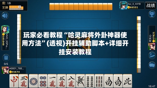 玩家必看教程“哈灵麻将外卦神器使用方法”(透视)开挂辅助脚本+详细开挂安装教程