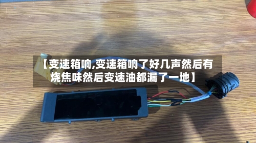 【变速箱响,变速箱响了好几声然后有烧焦味然后变速油都漏了一地】