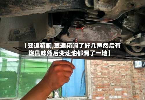 【变速箱响,变速箱响了好几声然后有烧焦味然后变速油都漏了一地】-第2张图片