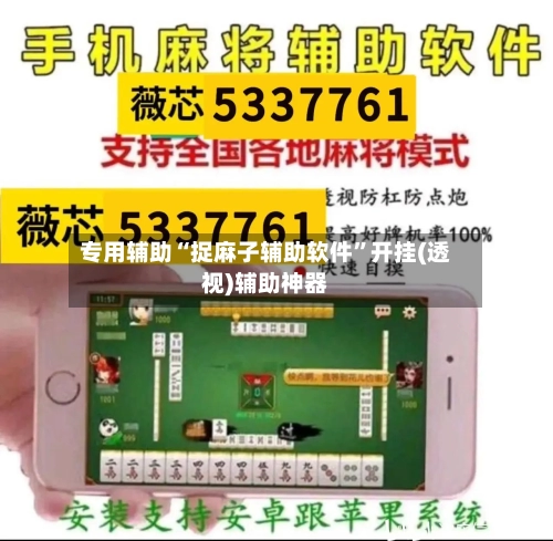 专用辅助“捉麻子辅助软件”开挂(透视)辅助神器