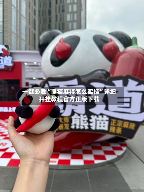 一键必胜“熊猫麻将怎么买挂”详细开挂教程官方正版下载-第3张图片