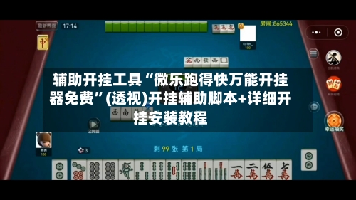 辅助开挂工具“微乐跑得快万能开挂器免费”(透视)开挂辅助脚本+详细开挂安装教程-第2张图片