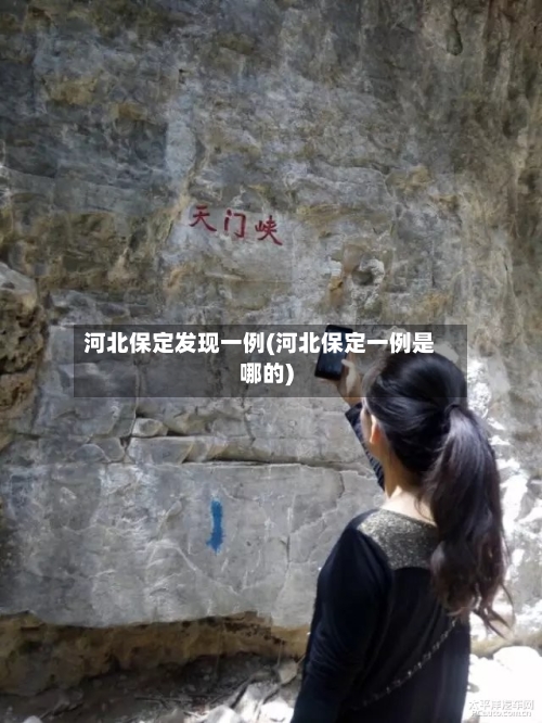 河北保定发现一例(河北保定一例是哪的)