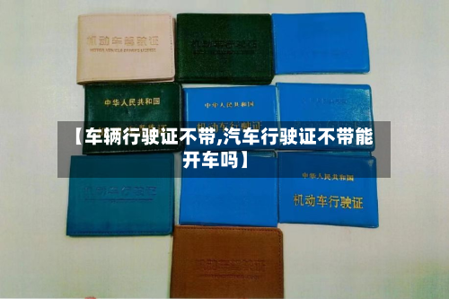 【车辆行驶证不带,汽车行驶证不带能开车吗】-第2张图片