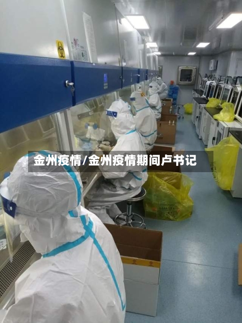 金州疫情/金州疫情期间卢书记