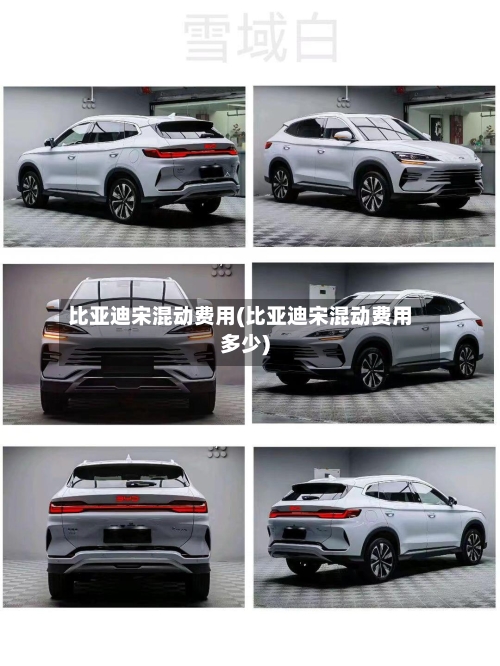 比亚迪宋混动费用(比亚迪宋混动费用多少)-第3张图片