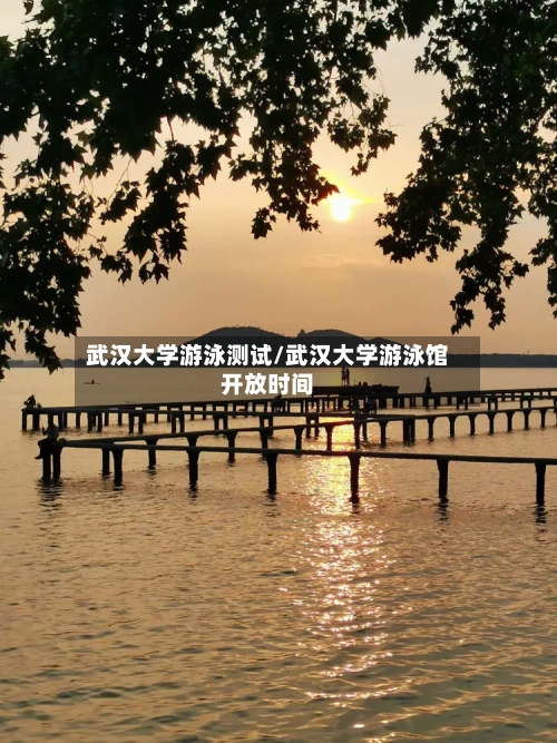 武汉大学游泳测试/武汉大学游泳馆开放时间