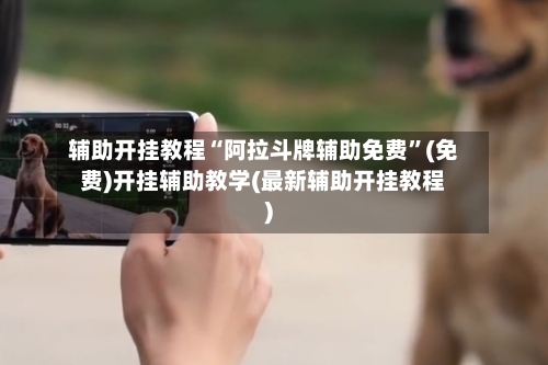 辅助开挂教程“阿拉斗牌辅助免费”(免费)开挂辅助教学(最新辅助开挂教程)