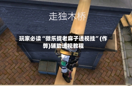 玩家必读“微乐捉老麻子透视挂	”(作弊)辅助透视教程-第3张图片