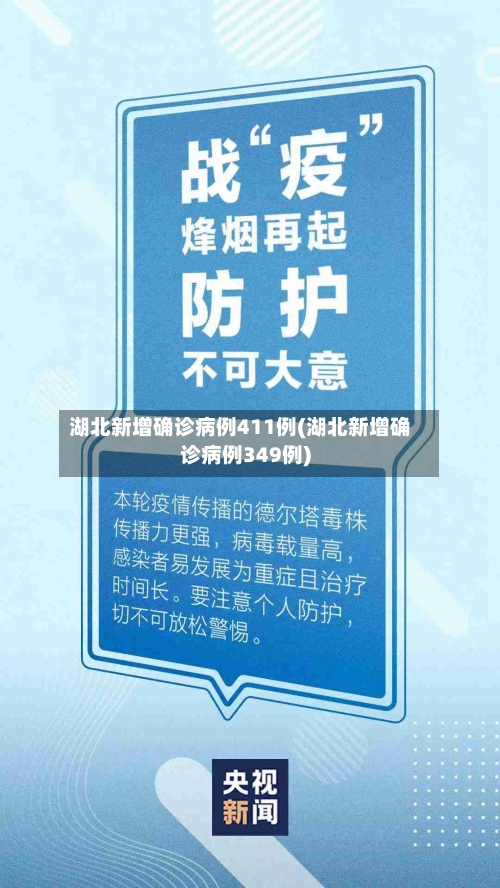 湖北新增确诊病例411例(湖北新增确诊病例349例)