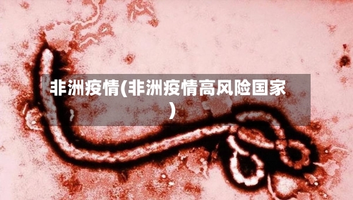 非洲疫情(非洲疫情高风险国家)-第1张图片