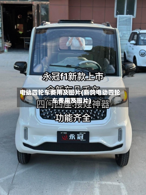电动四轮车费用及图片(新鸽电动四轮车费用及图片)-第2张图片