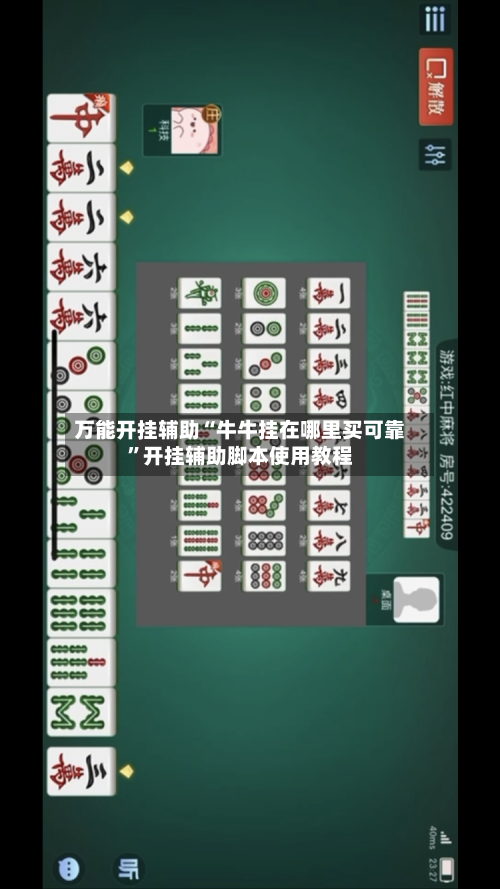 万能开挂辅助“牛牛挂在哪里买可靠”开挂辅助脚本使用教程-第2张图片