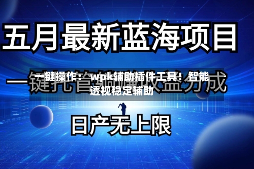 一键操作: wpk辅助插件工具!智能透视稳定辅助-第2张图片