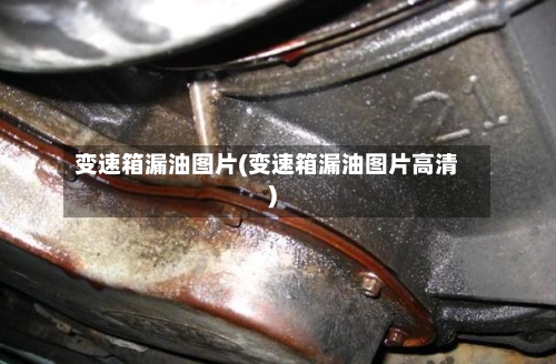 变速箱漏油图片(变速箱漏油图片高清)-第2张图片