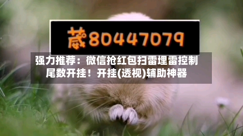 强力推荐:微信抢红包扫雷埋雷控制尾数开挂!开挂(透视)辅助神器-第3张图片