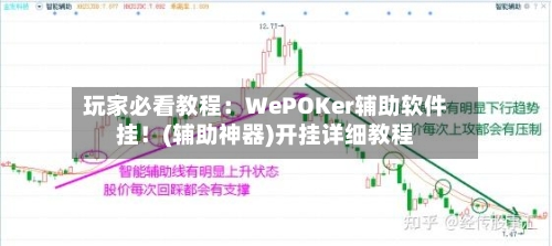 玩家必看教程:WePOKer辅助软件挂!(辅助神器)开挂详细教程-第3张图片