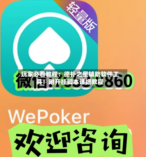 玩家必看教程：德扑之星辅助软件工具！附开挂脚本详细教程-第3张图片
