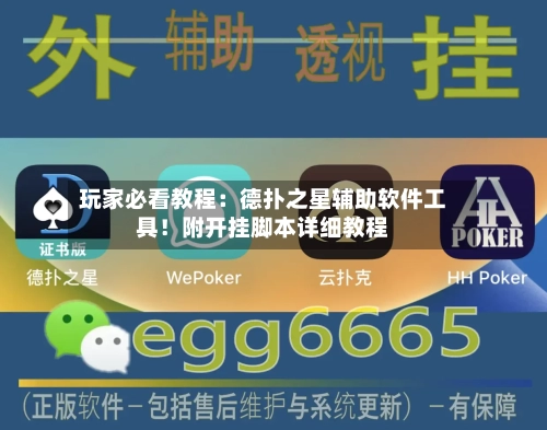 玩家必看教程：德扑之星辅助软件工具！附开挂脚本详细教程-第1张图片