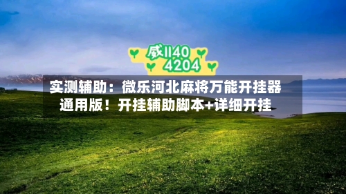 实测辅助：微乐河北麻将万能开挂器通用版！开挂辅助脚本+详细开挂-第2张图片