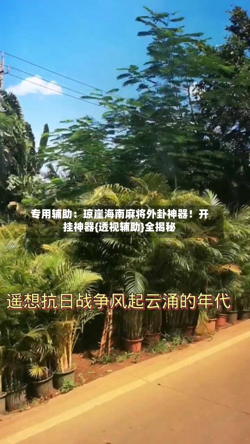 专用辅助:琼崖海南麻将外卦神器!开挂神器{透视辅助}全揭秘-第3张图片