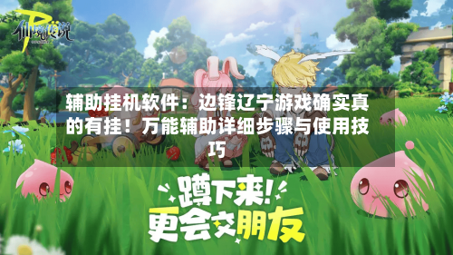 辅助挂机软件:边锋辽宁游戏确实真的有挂!万能辅助详细步骤与使用技巧-第2张图片
