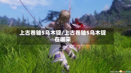 上古卷轴5乌木锭/上古卷轴5乌木锭在哪采-第1张图片