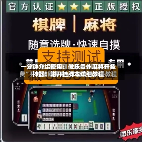 一分钟介绍使用:微乐贵州麻将开挂神器!附开挂脚本详细教程-第1张图片