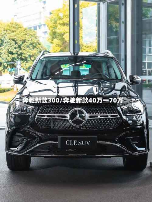 奔驰新款300/奔驰新款40万一70万-第2张图片