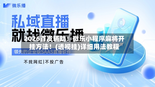 2026首发辅助:微乐小程序麻将开挂方法!(透视挂)详细用法教程-第2张图片