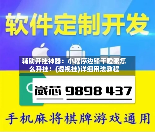 辅助开挂神器:小程序边锋干瞪眼怎么开挂!(透视挂)详细用法教程-第2张图片