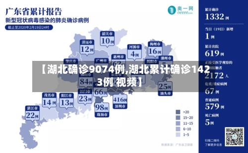 【湖北确诊9074例,湖北累计确诊1423例 视频】-第1张图片